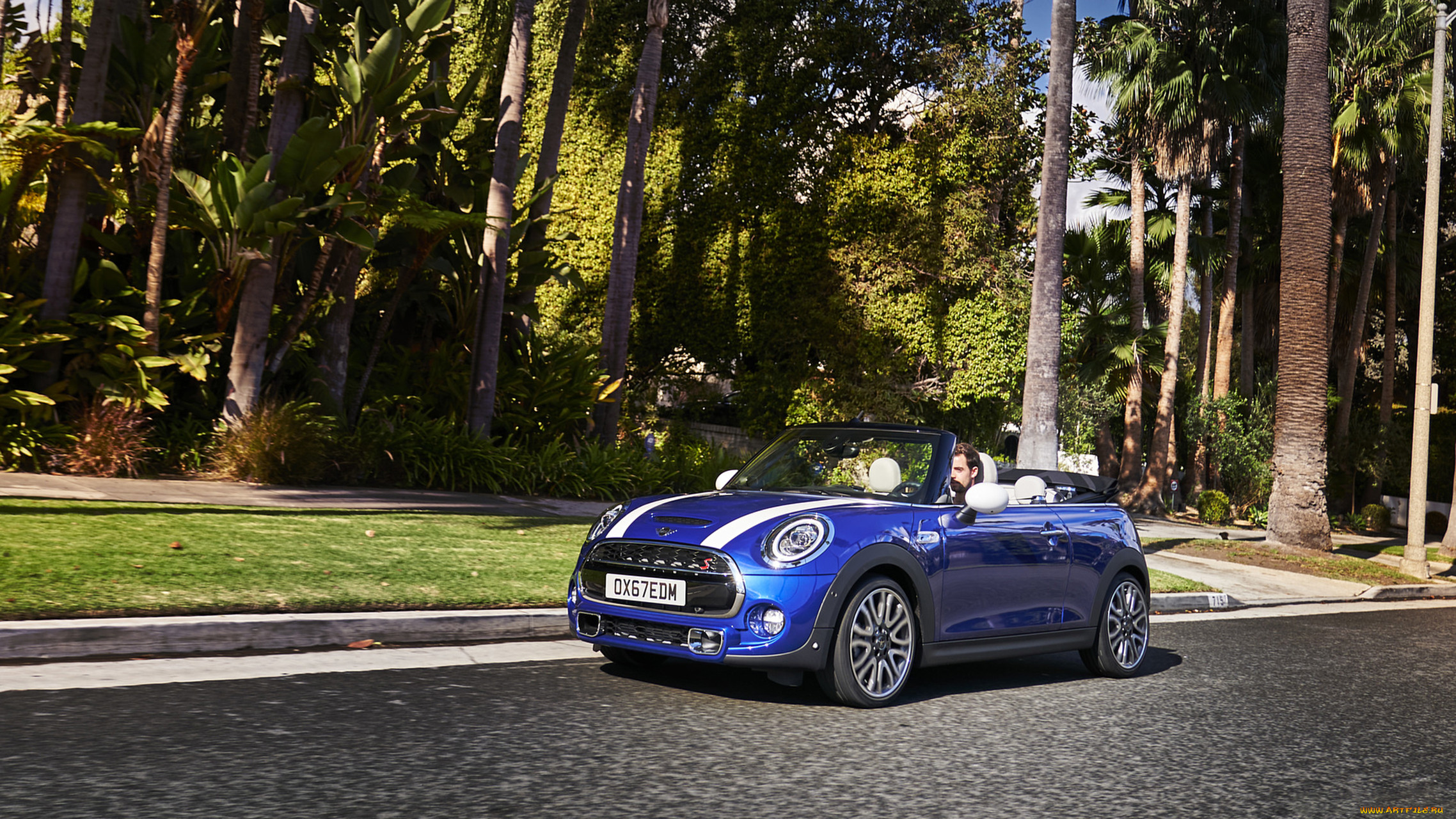 mini cabrio 2019, , mini, blue, 2019, cabrio